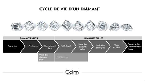 Vie De Diamant